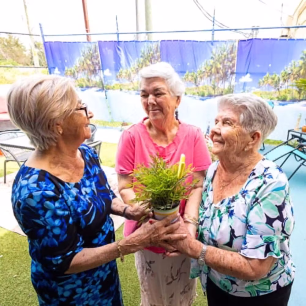 Social and recreational